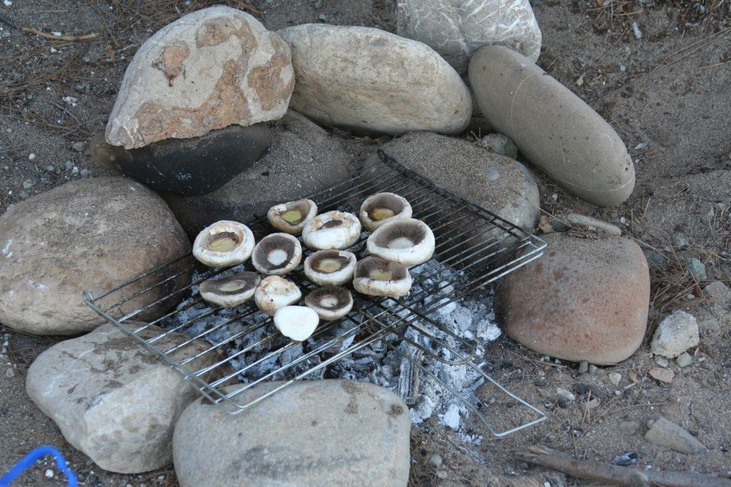 17-07-2010 063.jpg