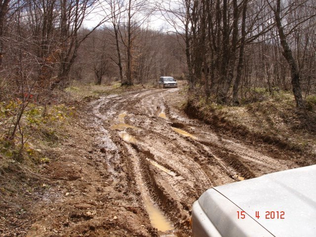 17.JPG