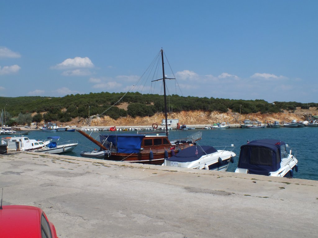 170.JPG