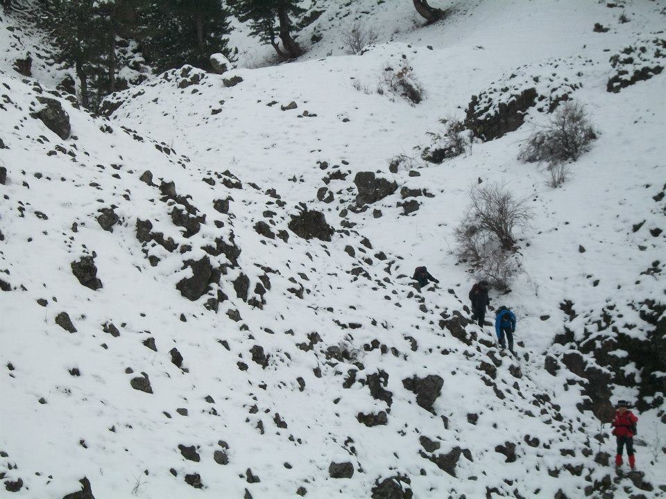 1728_10151505910679321_1369356518_n.jpg