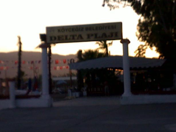 172a.jpg