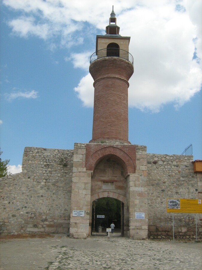 173.JPG
