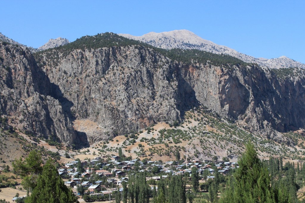 177 - Kopya.JPG