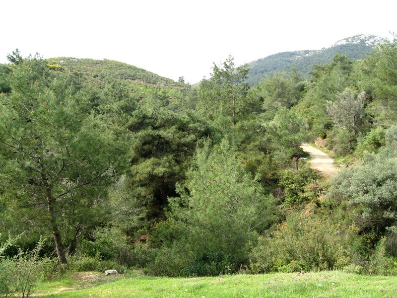 18 Nisan - GÃƒÂƒÃ‚Â„ÃƒÂ‚Ã‚Â°G 021.jpg