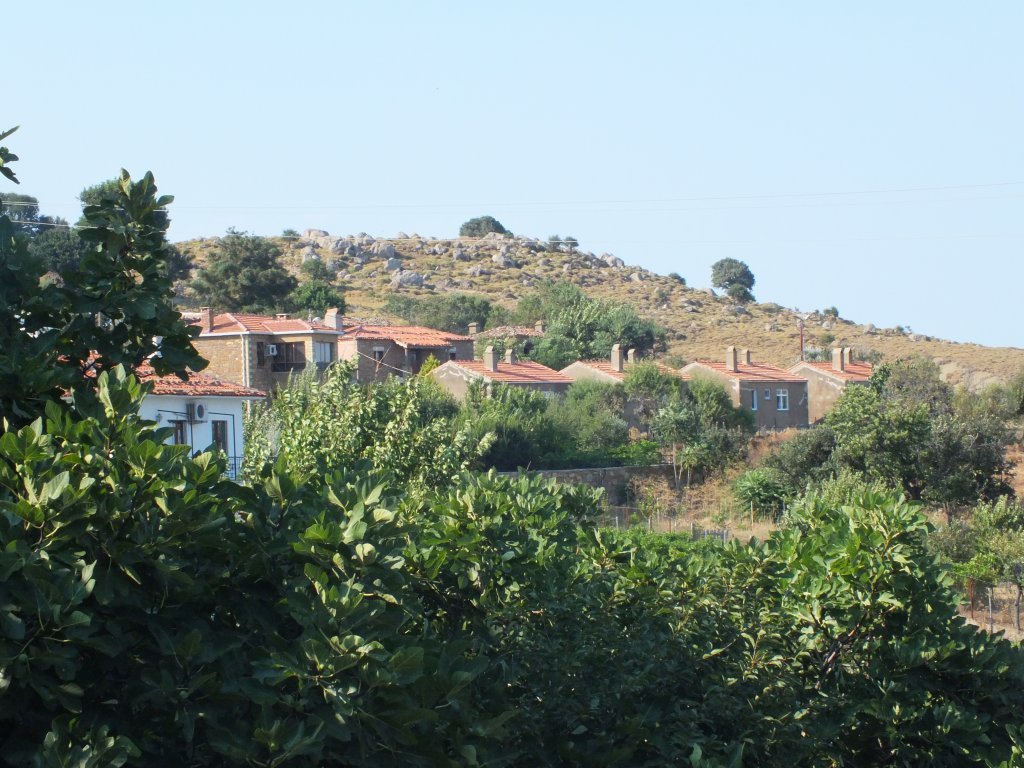 181.JPG
