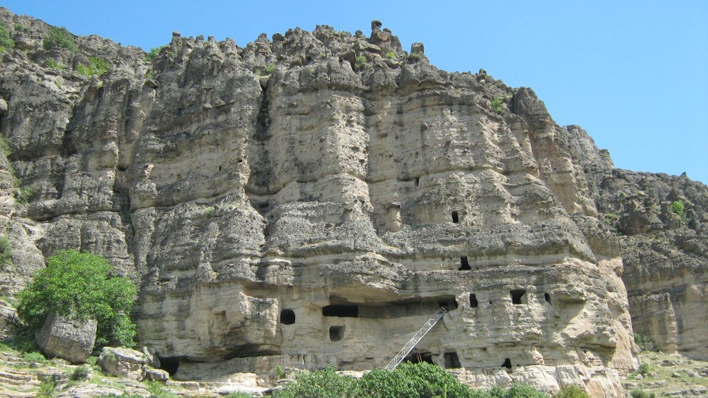 184.JPG