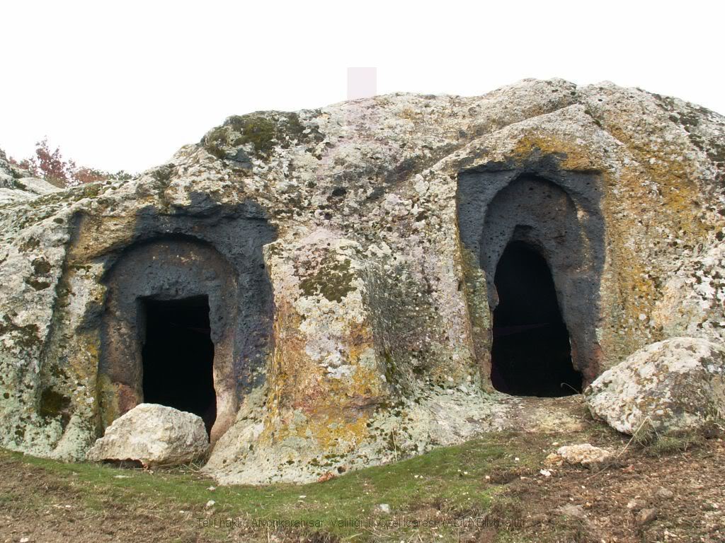 19-5.jpg