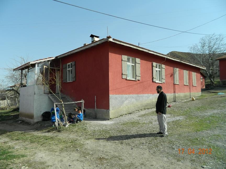 19.JPG