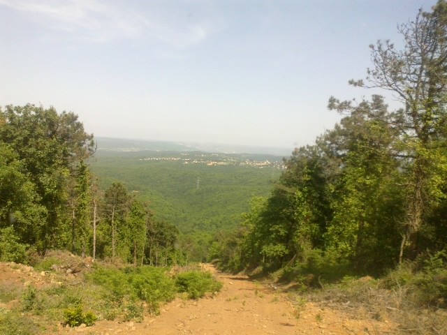 19052013917.jpg