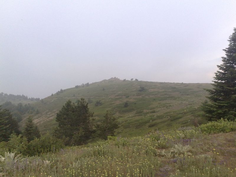 190620101345.jpg