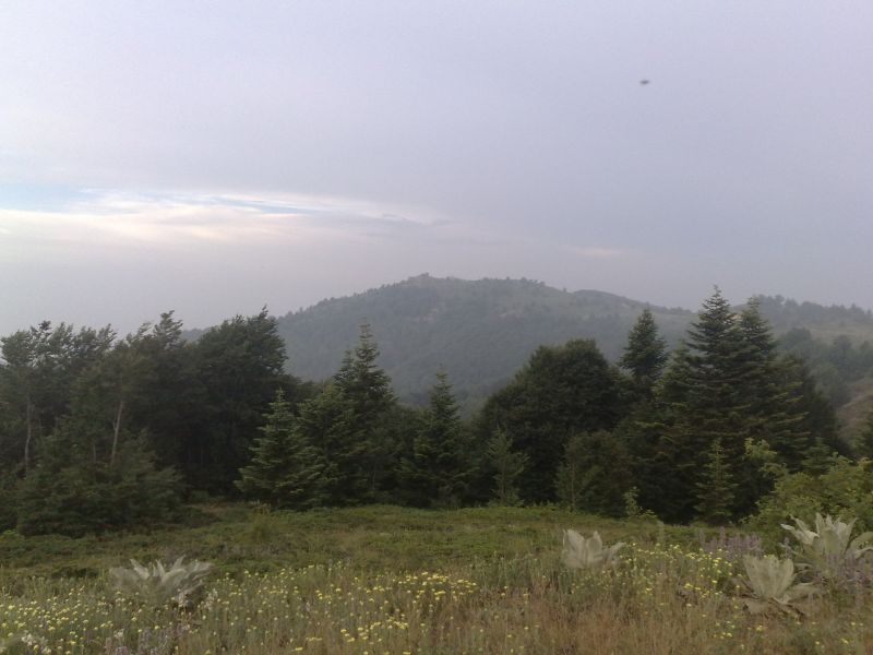 190620101347.jpg