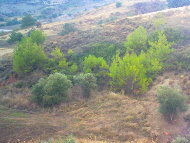 191220101353.jpg