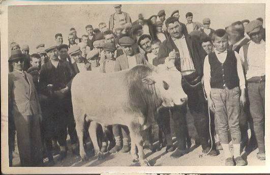 1935bigadvepazar.jpg