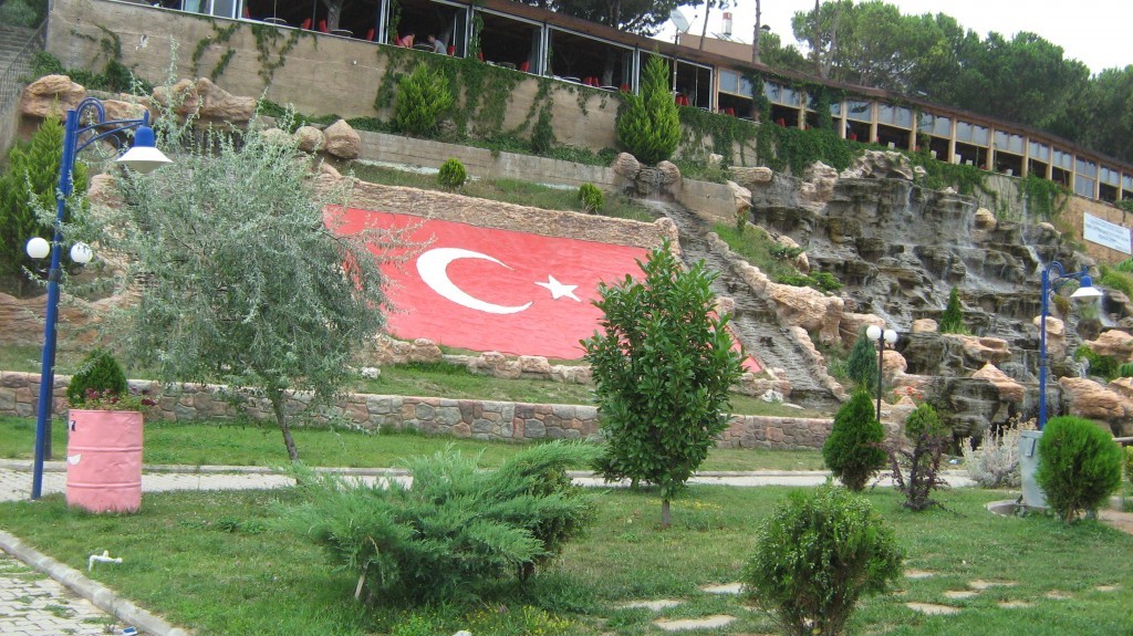 195.JPG