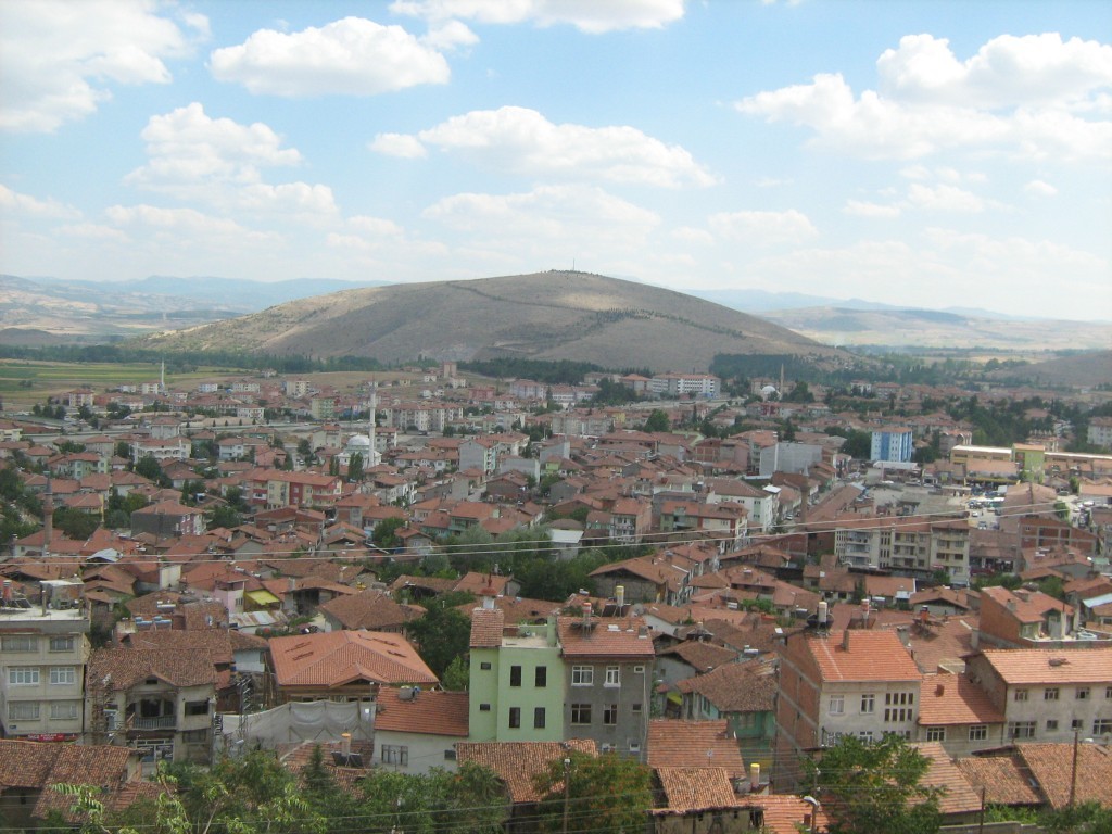 196.JPG