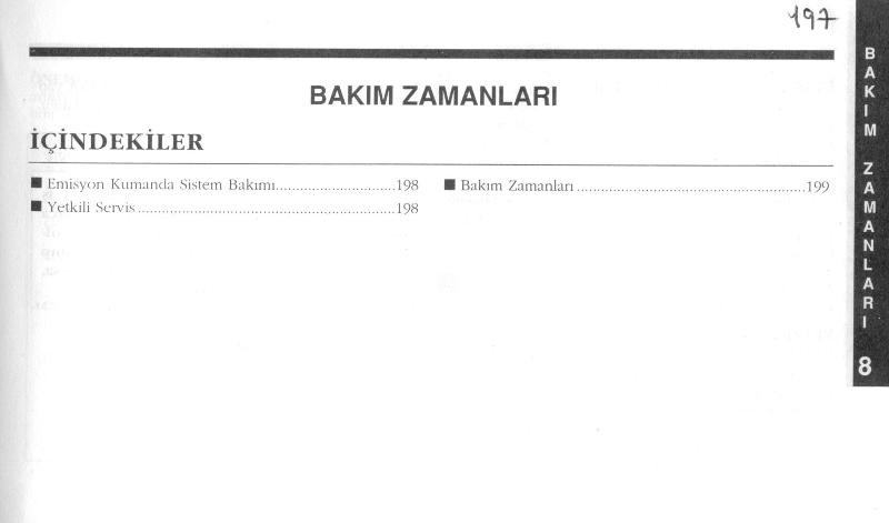 197.jpg