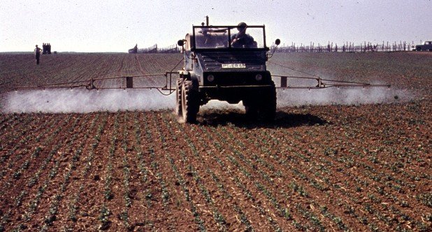 198966.jpg