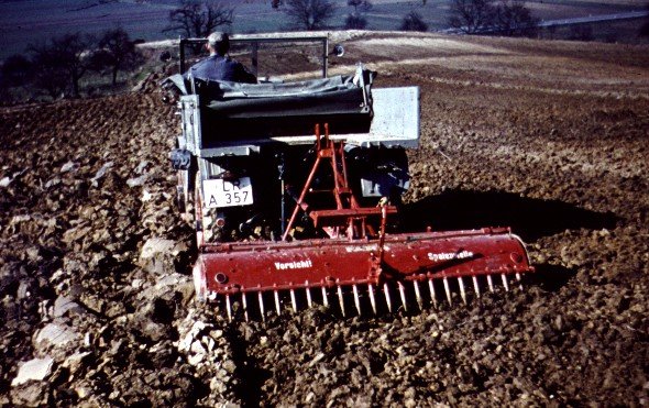 198968.jpg