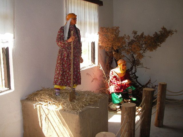 1995.jpg