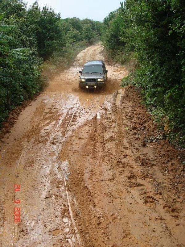 199818.jpg