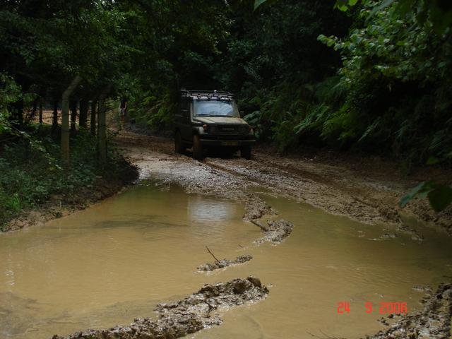 199828.jpg