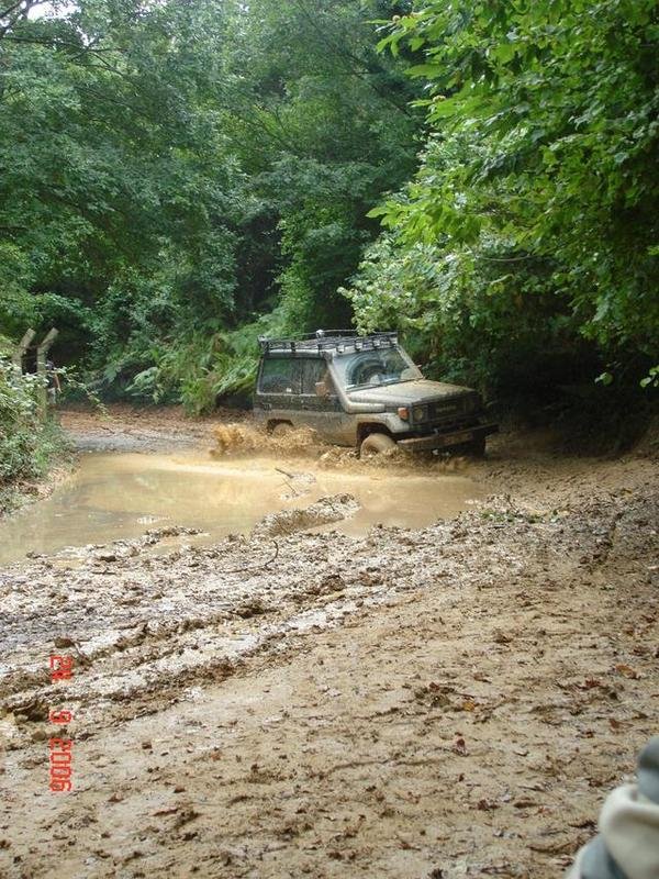 199830.jpg