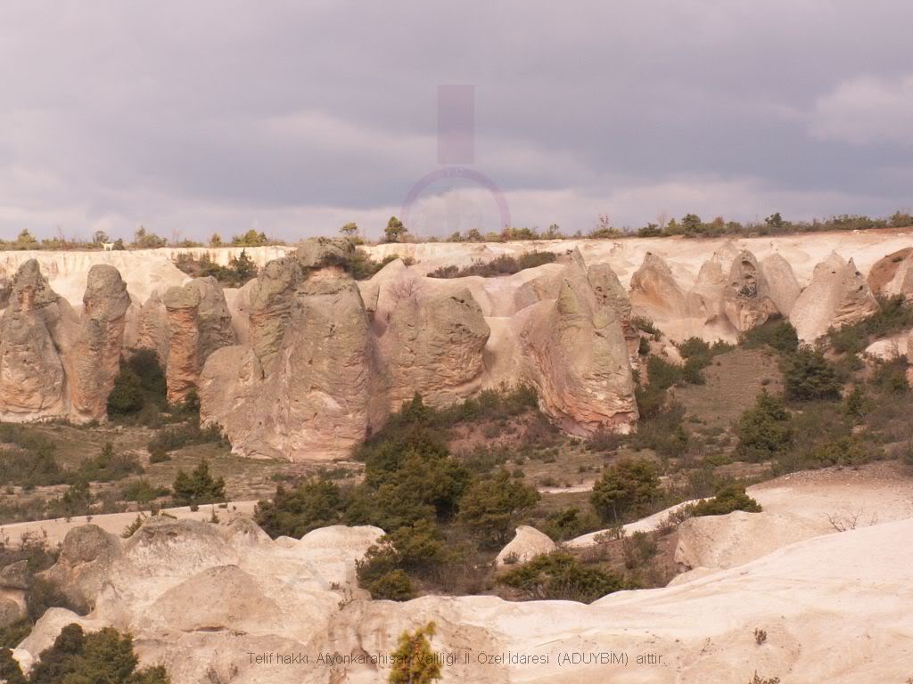 2-5.jpg