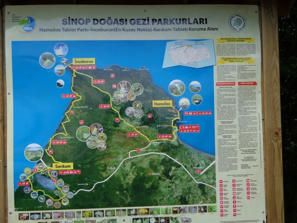 20.11.43.0.JPG