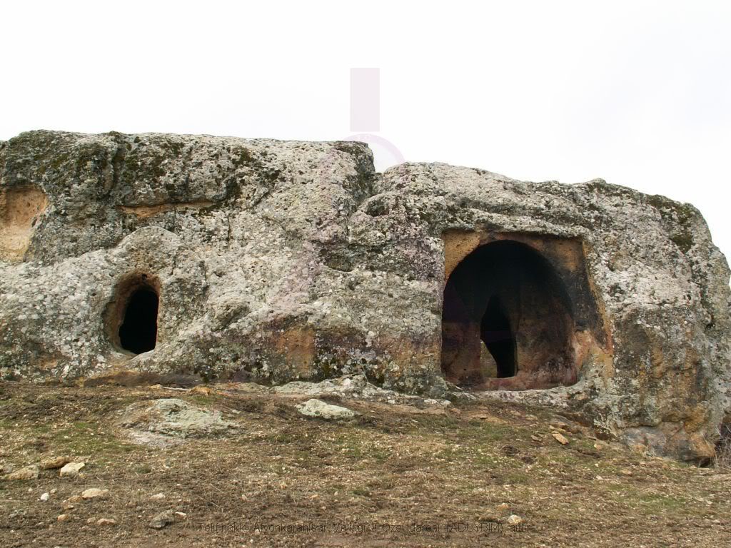 20-5.jpg