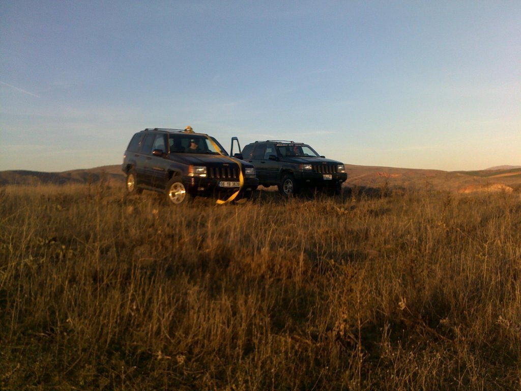 20032010254.jpg