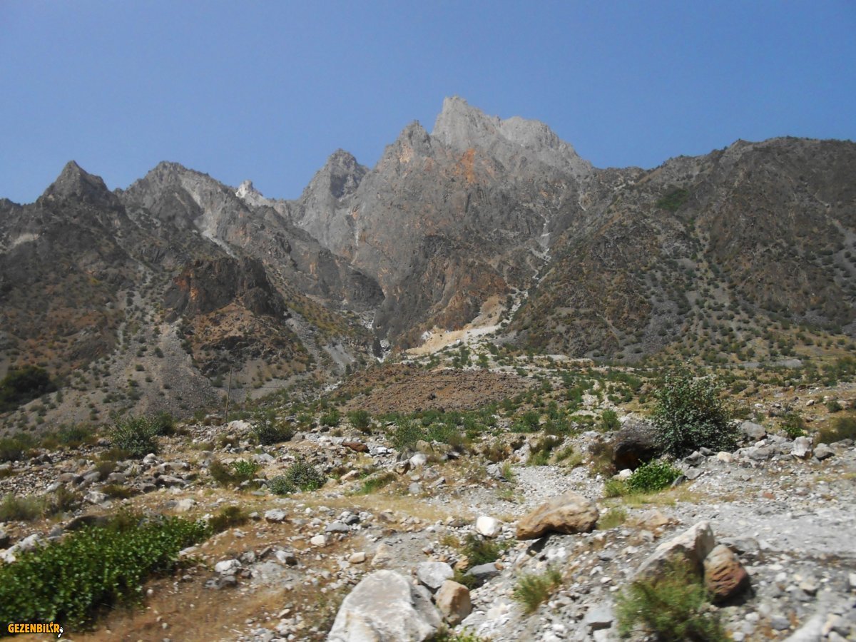 20060-1.JPG