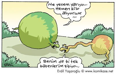 20060330.jpg