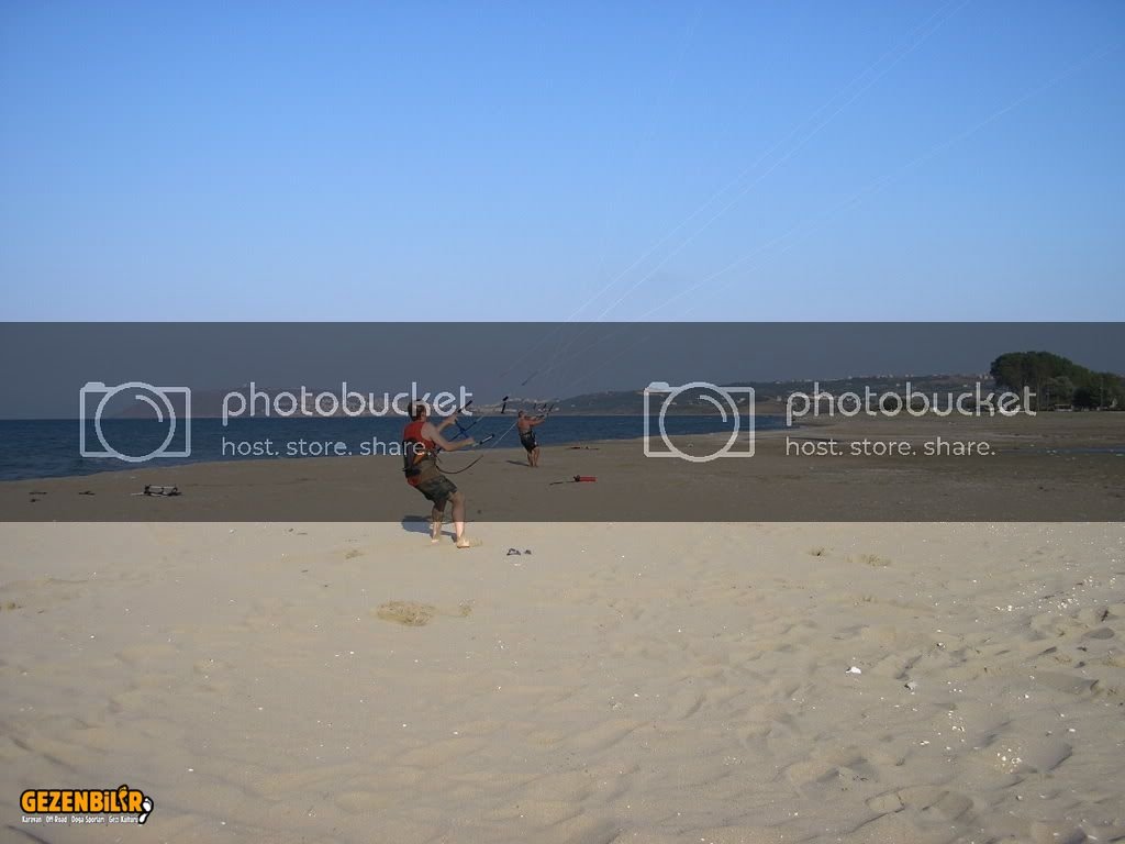 2006333.jpg