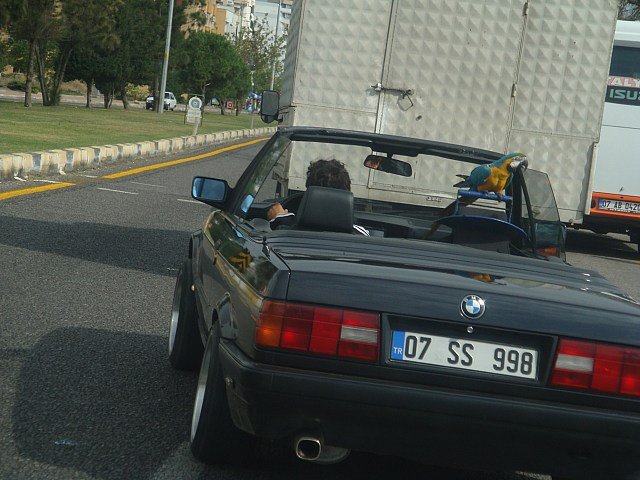 2009  ÃƒÂƒÃ‚Â…ÃƒÂ‚Ã‚ÂžEKER BAYRAMI KARADENÃƒÂƒÃ‚Â„ÃƒÂ‚Ã‚Â°Z 055.jpg