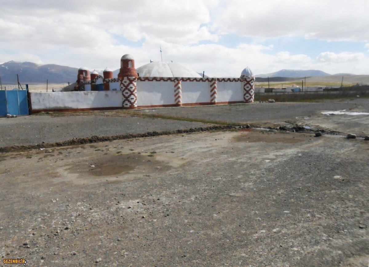 20096.JPG