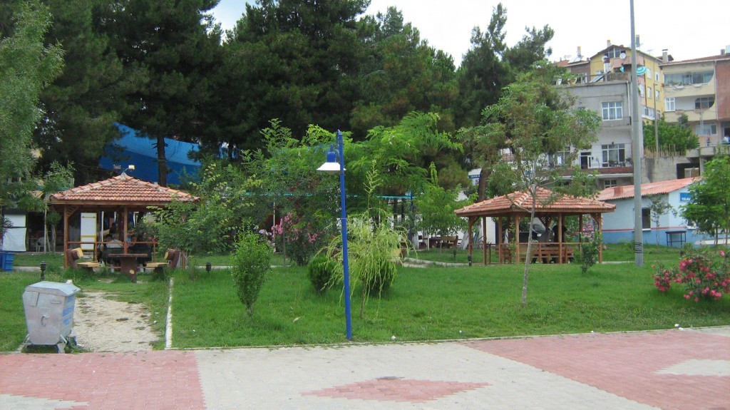 201.JPG