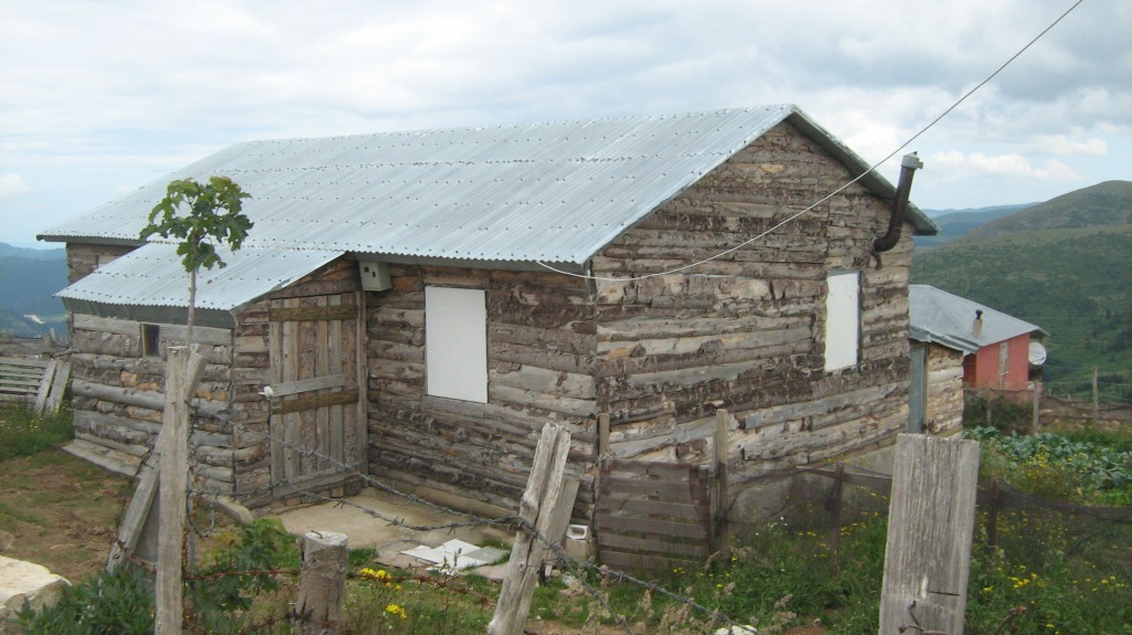 201.JPG