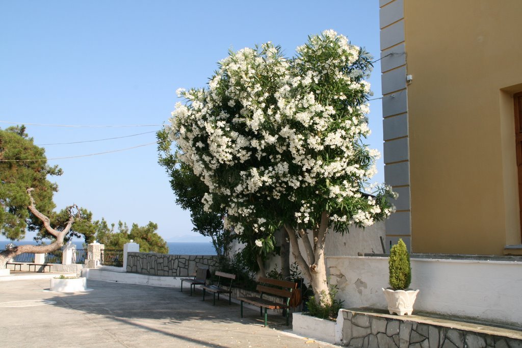 2011 italy greece   canon 167.JPG