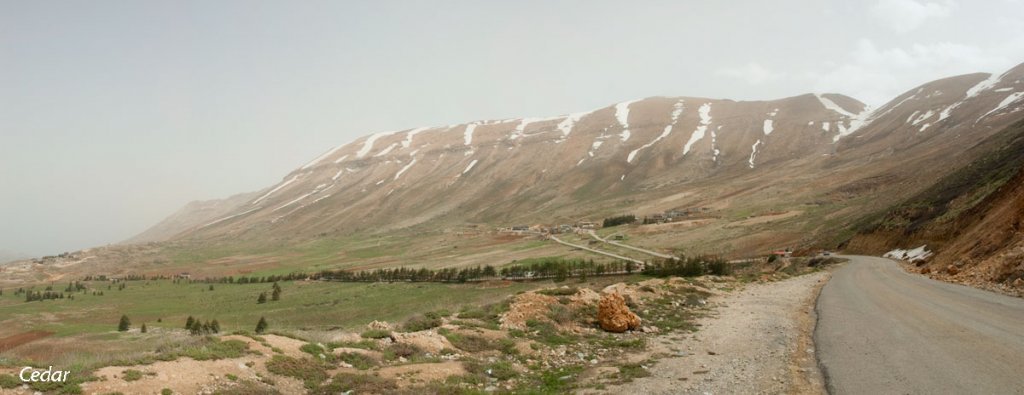 20110518_085250.jpg