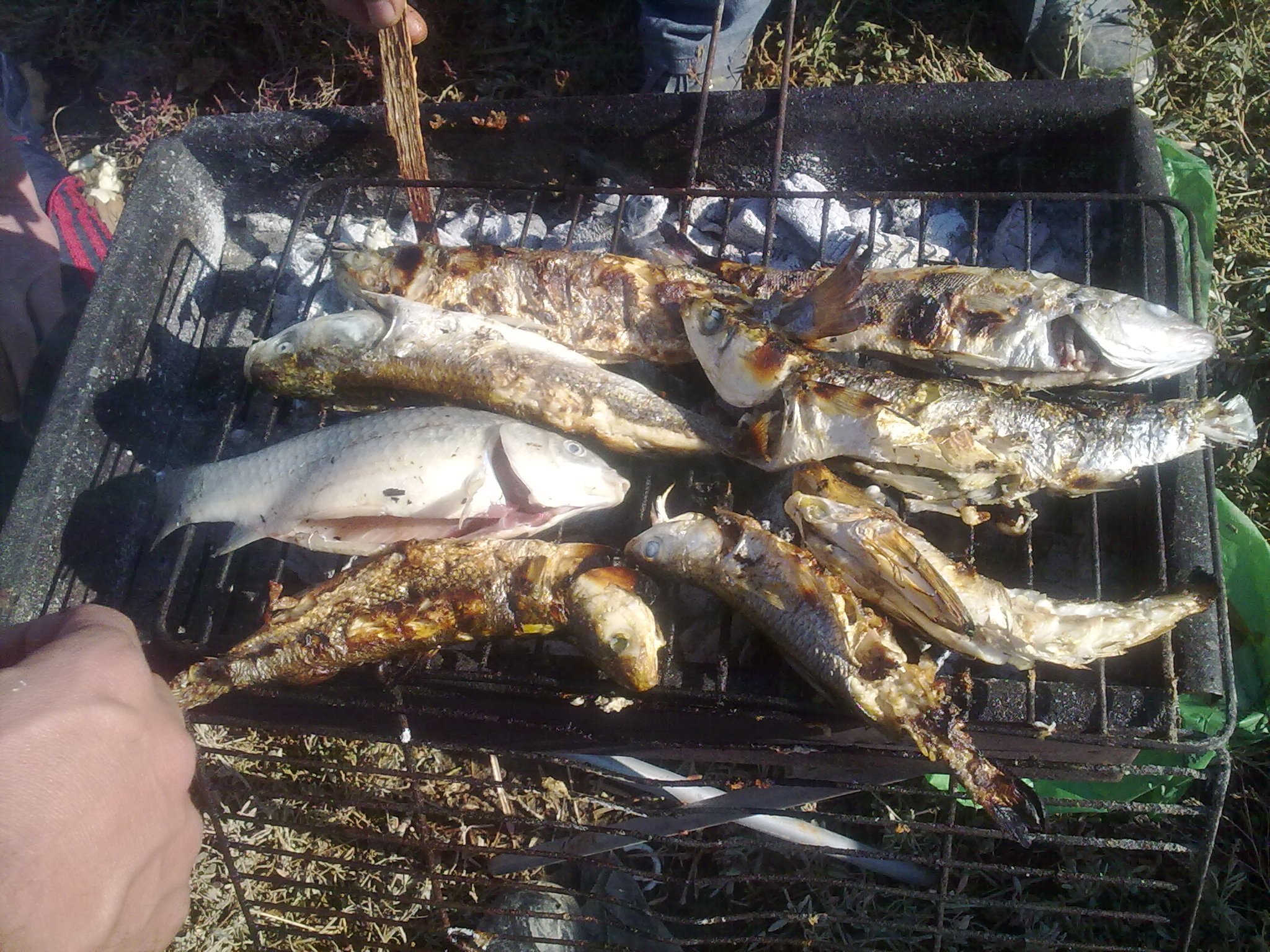 201120113978.jpg