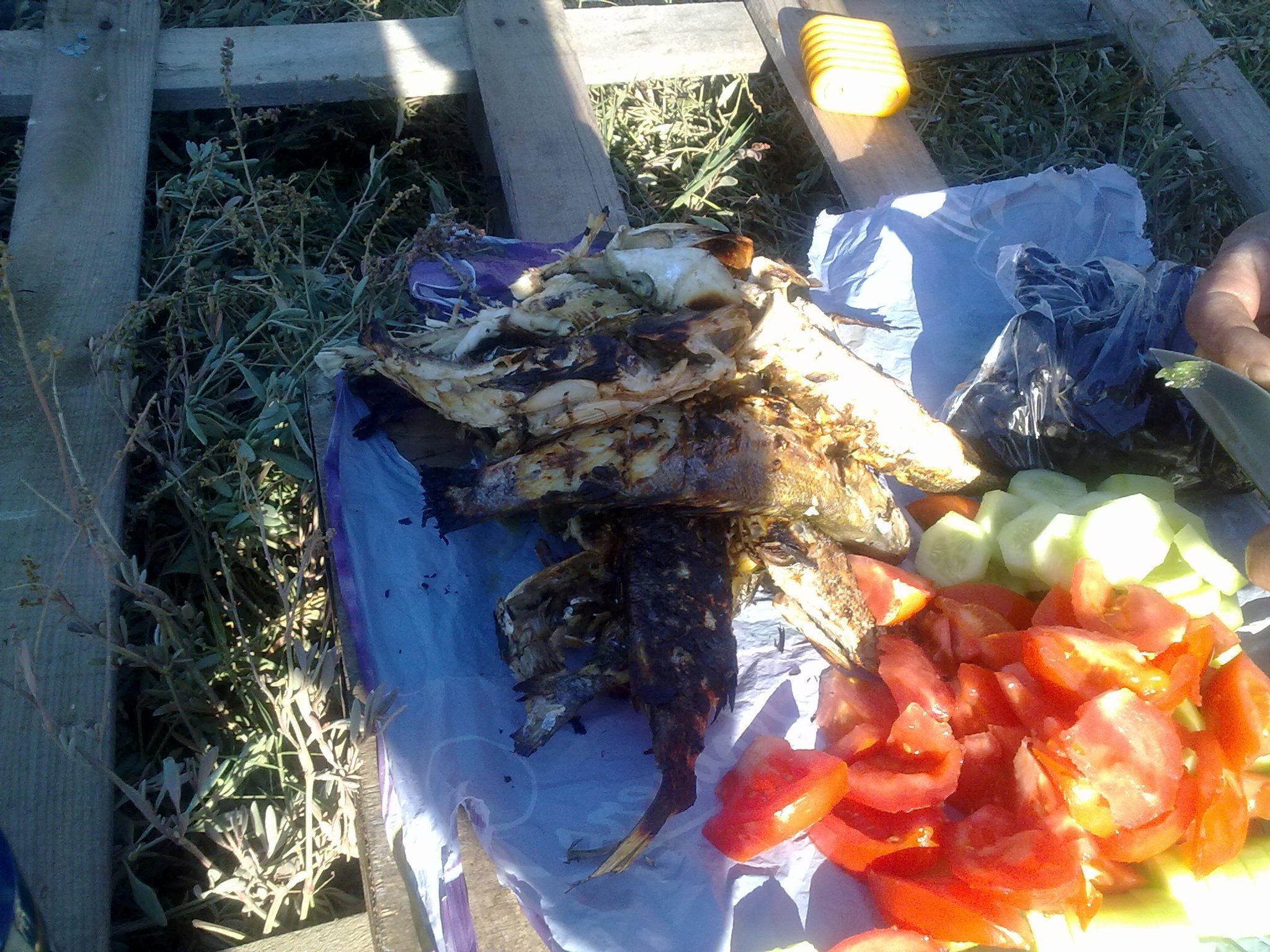 201120113985.jpg