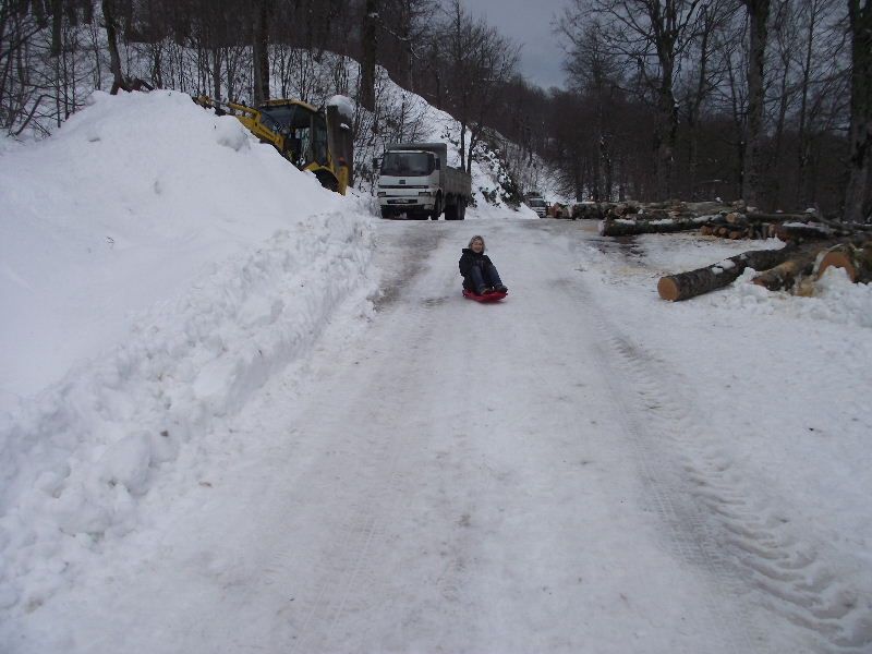 2011_01230024.jpg