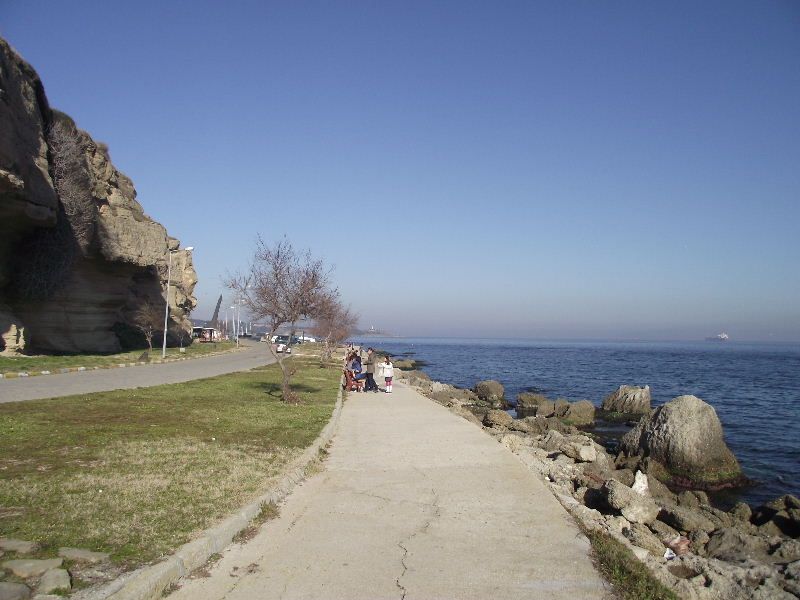 2011_02090016.jpg