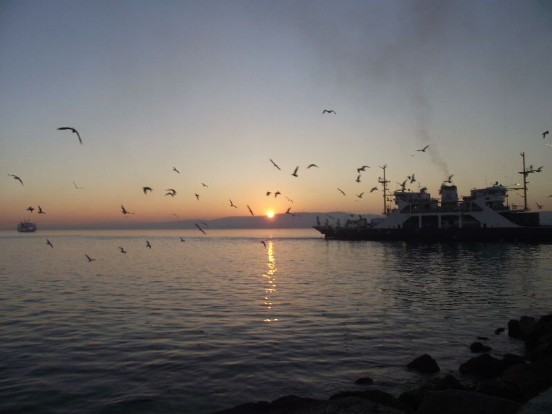 2011_02090041.jpg