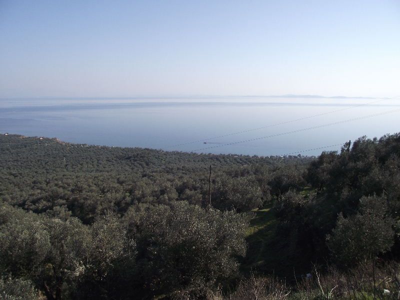 2011_02090051.jpg