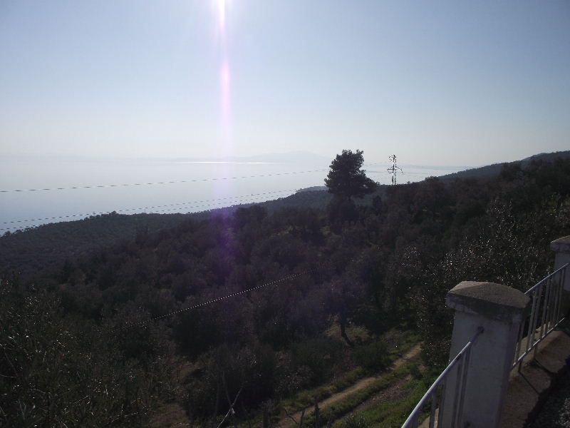 2011_02090054.jpg