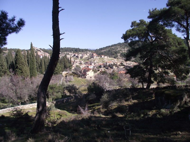 2011_02180006.jpg