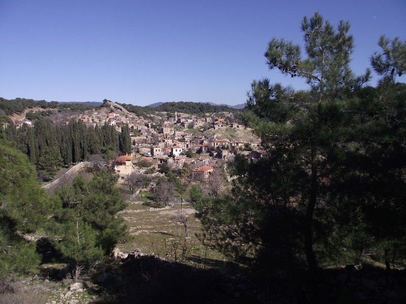 2011_02180007.jpg
