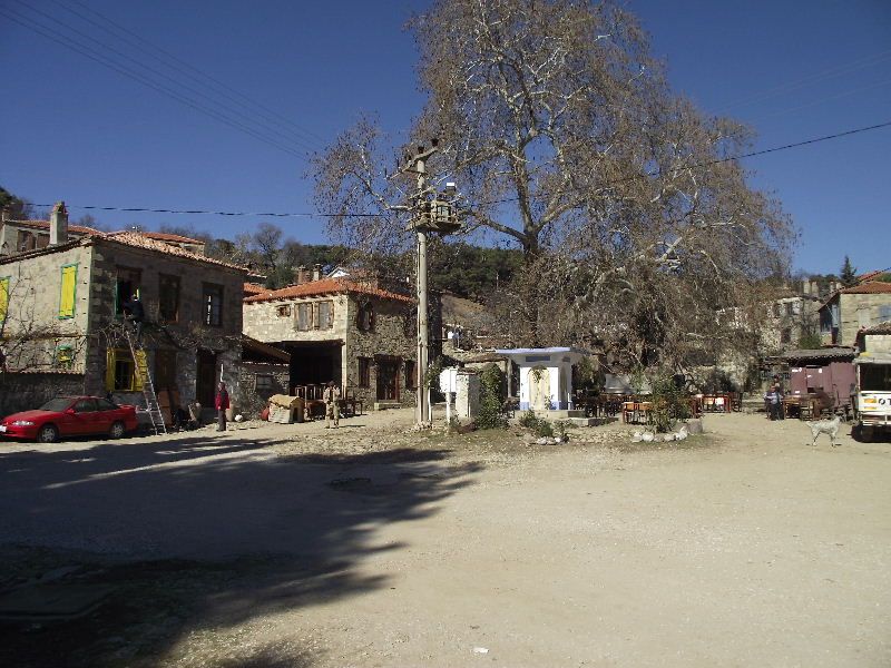 2011_02180013.jpg