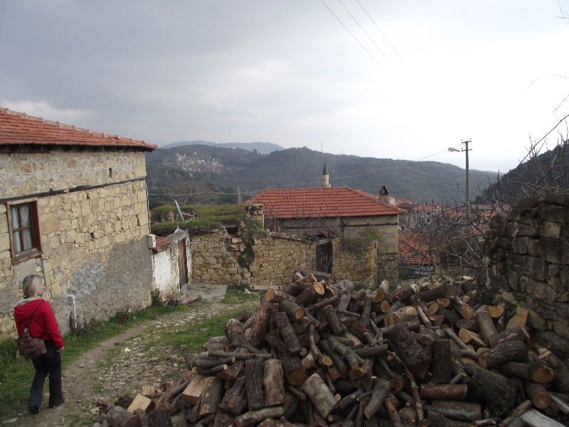 2011_02180024.jpg